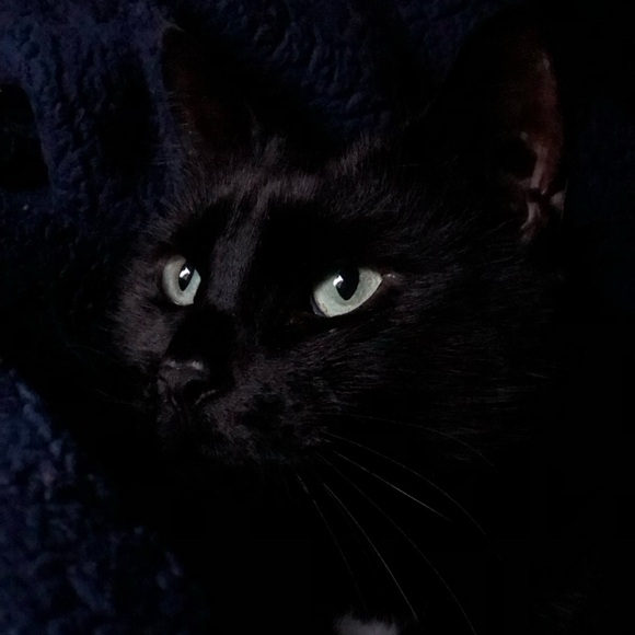 Meet your Posher: Barbara - Picture 1 of 1